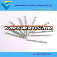 Concrete Nails with Bamboo Shank